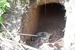 J&K, 20 meter tunnel discovered from Pakistan in J&K, bsf found 20 meter tunnel from pakistan in sambha j k, Pakistan rangers