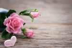 mother's day gift for new house, last minute gifts for someone far away, 8 ways to send love to your mom on mother s day even when you are away from home, Microwave