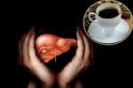 Heavy Drinkers, Heavy Drinkers, coffee consumption helps in protecting boozers livers, Coffee consumption
