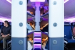 Air New Zealand, Air New Zealand Bunk Beds 2027, air new zealand introduces bunk beds in economy flights, Shankar Air New Zealand, Air New Zealand Bunk Beds 2027, air new zealand introduces bunk beds in economy flights, Shankar