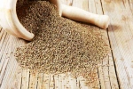 Ajwain advantages, Ajwain advantages, benefits of adding carom seeds to your diet, Viral