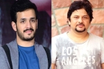 Akhil Akkineni new film, Akhil Akkineni news, akhil akkineni and surendar reddy joins hands, Coronavirus lockdown