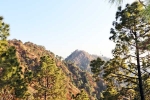 Kasauli videos, Kasauli update, amazing things to do and see in kasauli, Temple