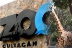 nurseries and aquariums, Coronavirus lockdown, animals abandoned during coronavirus lockdown are rescued by a zoo in mexico, Plight