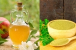 Apple Cider Vinegar Moringa health benefits, Apple Cider Vinegar Moringa breaking news, how to make apple cider vinegar moringa, Vinegar