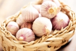 Chinese garlic banned reasons, Chinese garlic latest, how to identify banned chinese garlic in the indian market, Pesticides