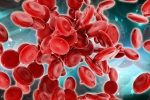 Stem Cells, Health news, scientists generate blood forming stem cells, Stem cells