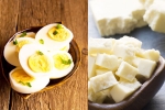 Boiled Eggs vs Paneer Cubes new breaking, Boiled Eggs vs Paneer Cubes, boiled eggs vs paneer cubes best option as protein snack, Boiled eggs