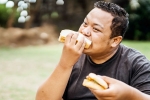 Bread for weightloss health benefits, Bread for weightloss benefits, will bread help in weightloss, 2014