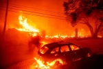 California Wildfire latest, California Wildfire breaking, california declares wildfire emergency, Showbiz