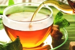 properties, anti-bacteria, is consuming tea linked to immunity, Chamomile tea