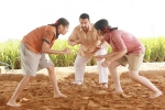 Dangal, Dangal release date, dangal 13 days collections, Mahavir singh