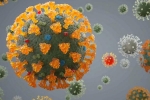 Coronavirus, Delta plus, all you need to know about the new delta plus variant of coronavirus, Csir