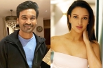 Triptii Dimri with Dhanush, Triptii Dimri next movie, dhanush to romance animal actress triptii dimri, R rajkumar u