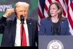 Donald Trump Vs Kamala Harris breaking, Donald Trump, donald trump calls kamala harris is married to a jewish man, Judges