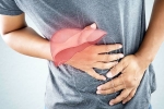 Liver Disease latest, Liver Disease latest, here are early signs of liver disease you should not ignore, Fatty liver