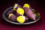 Sweet Potato experts, Sweet Potato experts, what happens if you eat sweet potato everyday, Magnesium