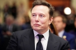 Elon Musk Epstein Files, Elon Musk Epstein Files news, elon musk named in new epstein files, 2014