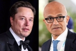 Elon Musk Vs Satya Nadella new breaking, Elon Musk Vs Satya Nadella war, elon musk s warning to satya nadella after gpt 5 launch, Tasks