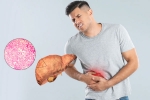 Fatty Liver health tips, Fatty Liver, fatty liver can be reversed in just one month, Fatty liver