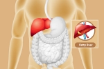 Fatty Liver problems, Fatty Liver prevention, dangers of fatty liver, Holi