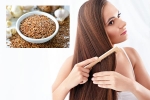 Flaxseeds breaking updates, Flaxseeds latest, how flaxseeds can help for a long and healthy hair, Recipe