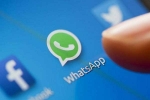 instant messaging app, Users, whatsapp curbs forwarding messages to five users, Forward messages