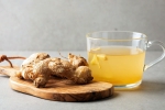Ginger Tea latest, Ginger Tea breaking, how ginger tea can boost your morning walk, Raw Ginger Tea latest, Ginger Tea breaking, how ginger tea can boost your morning walk, Raw