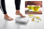 Green Tea for Weight loss survey, Green Tea for Weight loss, can consuming green tea really help in weight loss, Skin care