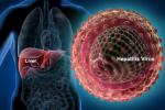 Gilead Sciences, Hepatitis C virus, good news india may soon get treatment for hepatitis c, Lower breast cancer risk