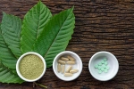 kratom, herbal supplements, this pain treating herbal supplement is not safe for use, Disorders care