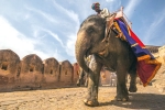 india rajasthan tours, south india heritage tour, 10 best heritage tours in india, Get tired