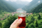International Tea Day, International Tea Day breaking, international tea day 2025 facts and significance, D day