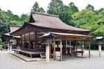 Japan Viral Mikami Shrine pictures, Japan Viral Mikami Shrine viral, why are travellers flocking to japan s viral mikami shrine, Hidden