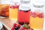 Kombucha and Fermented Foods, Kombucha and Fermented Foods, health benefits of kombucha and fermented foods, Bloating