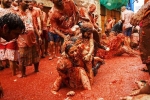 la tomatina 2019 tickets, tomato festival spain 2019, la tomatina 2019 thousands hurl fruit at fun food festival, La tomatina