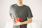 Liver cancer research, Liver cancer cases rise, liver cancer rising among young people and non drinkers, Obesity
