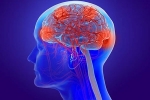 Coronavirus impact, Coronavirus impact on brain, coronavirus can cause long term loss of brain tissue, Fda