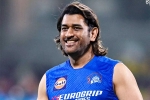 MS Dhoni new breaking, MS Dhoni new role, good news for ms dhoni fans, Ipl 2024