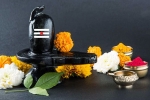 Maha Shivratri lord shiva, mahashivratri 2019 isha, maha shivratri 2019 visit these lord shiva temples to witness best of the maha shivratri, Maha shivratri