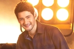 Mahesh Babu new movie, Mahesh Babu and Sara Ali Khan, mahesh babu getting bollywood beauty for his next, Sarileru neekevvaru