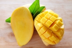 cancer causing chemicals in mangoes, mangoes, mouth watering mangoes may contain cancer causing chemicals, Arsenic