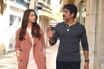 Nagarjuna movie review, Manmadhudu 2 rating, manmadhudu 2 movie review rating story cast and crew, Manmadhudu 2