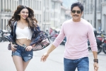 Rakul Preet Singh, Manmadhudu 2 news, manmadhudu 2 trailer is packed with entertainment, Manmadhudu 2