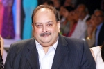 Mehul Choksi latest breaking, Mehul Choksi's Extradition, mehul choksi s extradition india s assurance to belgium, Punjab