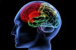 mental activity, Brain: Use it or lose it, brain use it or lose it, Npt