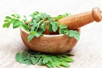 Moringa for health, Moringa health benefits, is moringa a must have in your diet, Cul