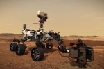 mission, perseverance rover, why did nasa send a helicopter like creature to mars, Microbial life