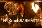 Brahmastra release news, Brahmastra breaking news, ntr turns chief guest for brahmastra event, Fox star studios