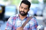 NTR next film, NTR, official ntr s next film locked, Sardar gabbar singh